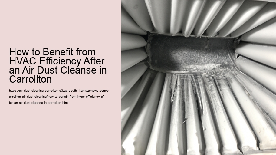 How to Benefit from HVAC Efficiency After an Air Dust Cleanse in Carrollton 