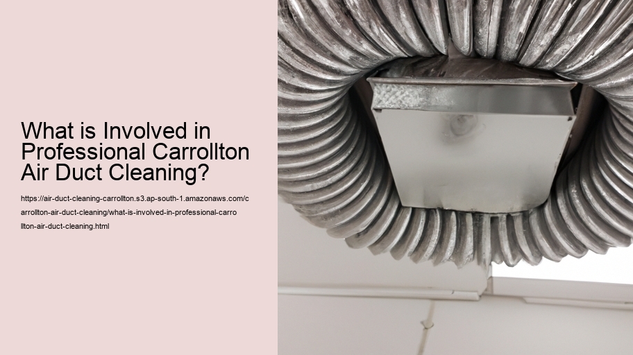 What is Involved in Professional Carrollton Air Duct Cleaning?